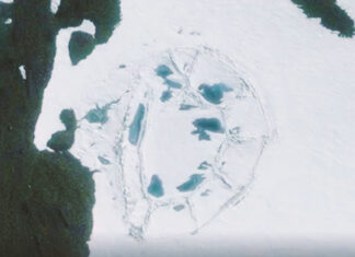 Uma Estrutura em Forma de Cúpula na Antártida