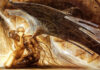 Book of Enoch: Angels or Aliens?