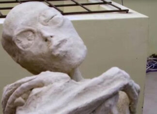 Pesquisador Defende que Esqueleto Encontrado no Peru é Múmia Extraterrestre